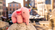 Κάντε το τεστ του ροζ ελέφαντα και δείτε τι αποκαλύπτει για την (α)φαντασία σας