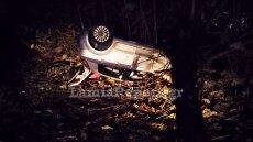 Φθιώτιδα: ΙΧ συγκρούστηκε με αγριογούρουνο και ανατράπηκε – Τραυματίστηκε ο οδηγός