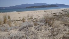 Πεντάστερη επένδυση άνω των €22 εκατ. βουλγαρικών συμφερόντων στην Αν. Μακεδονία