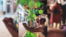 Στόλισαν δέντρο στην Κρήτη με θέμα το… παλιό ΠΑΣΟΚ