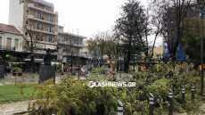 Χανιά: Πτώσεις δέντρων και κατολισθήσεις από την κακοκαιρία Elena - Δείτε φωτογραφίες