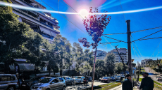 Η κακοκαιρία Adel φεύγει - Ηλιοφάνεια και τοπικές βροχές την Κυριακή, με ήπιο καιρό οι επόμενες ημέρες