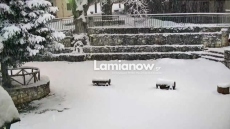 Χωριό της Λαμίας έχει βυθιστεί στο χιόνι - Αδύνατη η πρόσβαση 