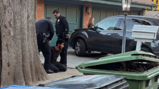 Κάτοικοι ακινητοποίησαν παράνομο μετανάστη στο Λος Άντζελες που έβαζε φωτιές στους δρόμους - Δείτε βίντεο