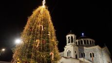 Τα χριστουγεννιάτικα δέντρα «επιστρέφουν» στους δημότες 