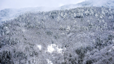 Εξαντλημένος, αλλά σώος, βρέθηκε ο βοσκός που είχε εγκλωβιστεί στα Ακαρνανικά Όρη
