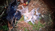 Θεσσαλονίκη: Συμμορία διακινούσε ηρωίνη με εντολές από έγκλειστο σε φυλακές - Τρεις συλλήψεις, ανάμεσά τους και 15χρονος