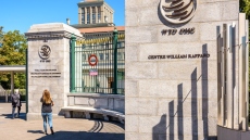 Παγκόσμιος Οργανισμός Εμπορίου: Ένας εμπορικός πόλεμος θα ήταν καταστροφικός για το παγκόσμιο ΑΕΠ