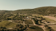 Η Θεσσαλονίκη των οίνων