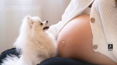 Έχει μαλλάκια και χνούδι