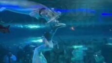 Ψάρι επιτέθηκε και «δάγκωσε» γυναίκα που έκανε τη γοργόνα σε ενυδρείο στην Κίνα - Δείτε βίντεο