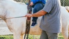Θεσσαλονίκη: Επτά καταγγελίες για ασέλγεια σε βάρος εκπαιδευτή ιππασίας  -  Θύματα και τέσσερις ανήλικες