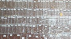 Στη φάκα για τρίτη φορά κοσμηματοπώλης της Καλαμάτας – Πουλούσε κλεμμένα κοσμήματα