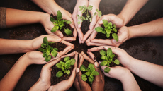 Προστατεύοντας τον Πλανήτη, Ενισχύοντας την Κοινωνία: η Στρατηγική της Bayer Ελλάς για τη βιωσιμότητα