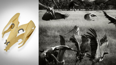 Κοσμήματα και φωτογραφίες της Έλενας Συράκα και του Νικόλα Λώτσου σε μια κοινή έκθεση