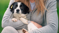 Τα 3 λάθη που μπορεί να κάνετε την πρώτη φορά που υιοθετείτε σκύλο