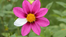 Κάθε σπάνιος ασθενής πρέπει να έχει πρόσβαση στην φροντίδα που του αξίζει