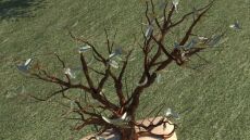 Tο Δέντρο των Ψυχών - Η Αρχή: Tα αποκαλυπτήρια του μνημείου για τα 57 θύματα των Τεμπών