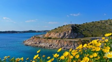 Καιρός: «Μύρισε άνοιξη» με θερμοκρασίες που άγγιξαν τους 24°C