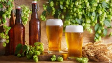 Μπίρα: Μια τυχαία ανακάλυψη άλλαξε τη γεύση του κόσμου