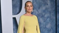 Σάρον Στόουν: Αποκάλυψε πως απολύθηκε χωρίς καμία προειδοποίηση από το «Another Simple Favor»