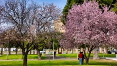 Ο καιρός τη Μεγάλη Εβδομάδα: Πώς θα κάνουμε Πάσχα - Οι θερμοκρασίες από σήμερα θα θυμίζουν… καλοκαίρι