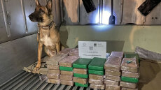 ΑΑΔΕ: Στην πρώτη γραμμή άμυνας τα 27 σκυλιά που μυρίζουν μέχρι και... παράνομα μετρητά!