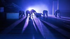 Θέατρο Κιβωτός: Ο Όλιβερ, το βασανισμένο χάσκι της Αράχωβας ζητά δικαιοσύνη μέσα από μια θεατρική παράσταση