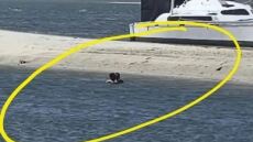 Ζευγάρι έκανε σεξ σε λίμνη στην Αυστραλία και ζήτησε... χρήματα από τους αυτόπτες μάρτυρες!