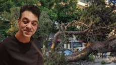 Αποζημίωση 385.000 στην οικογένεια του 50χρονου Παναγιώτη που καταπλακώθηκε από πεύκο στο Ηράκλειο