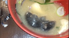 Ιαπωνία: Αλυσίδα φαστ φουντ κλείνει προσωρινά εκατοντάδες εστιατόρια καθώς βρέθηκαν αρουραίος και έντομο σε φαγητά της