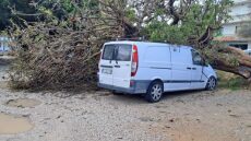 Ρόδος: Δέντρο έπεσε σε αυτοκίνητα από την κακοκαιρία - Φωτογραφίες