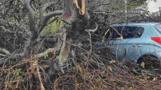 Ανεμοστρόβιλος προκάλεσε ζημιές στη Ρόδο - Δέντρα έπεσαν σε ΙΧ, δείτε φωτογραφίες