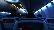Αναστάτωση σε πτήση στις ΗΠΑ: Ημίγυμνος 24χρονος επιτέθηκε σε αεροσυνοδό και φώναζε «θα έρθεις μαζί μου»
