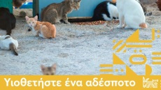 Μήνυση SLAPP κατά δημοσιογράφου από ΜΚΟ