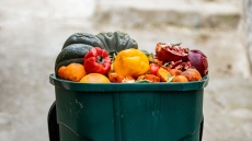 Από το πιάτο στα σκουπίδια: Οι καταναλωτικές συνήθειες και η σπατάλη τροφίμων στην Ελλάδα