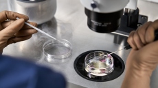 Σάλος στην Αυστραλία: Γυναίκα γέννησε το παιδί άλλης μετά από λάθος σε κέντρο εξωσωματικής