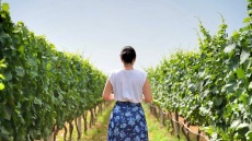 Εντοπιότητα και γαστρονομία: Όταν ο τόπος γίνεται γεύση