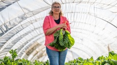 Μέχρι το 2050 η παραγωγή τροφής θα πρέπει να αυξηθεί κατά 70%