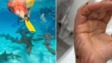 Βίντεο: Καρχαρίας επιτέθηκε σε τουρίστρια στις Μαλδίβες - «Τον έσπρωξα και δεν με δάγκωσε δυνατά»