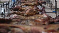 Η επιστήμη πίσω από τον τέλειο οβελία