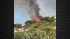 Σούνιο: Έριξαν δυναμιτάκια και προκάλεσαν φωτιά - Έτρεχαν να την σβήσουν με κουβάδες, δείτε βίντεο