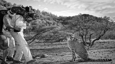 Ερίκ Τζέιμς Γκιλεμάν: Φλας στα παρασκήνια