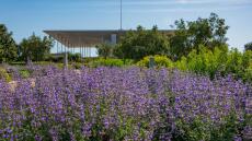 Κέντρο Πολιτισμού Ίδρυμα Σταύρος Νιάρχος: Πρωτομαγιά με μουσική, χορό και δράσεις για τα παιδιά 