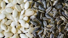 «Pipas» τέλος στο γήπεδο της Έλτσε με απόφαση της διοίκησης