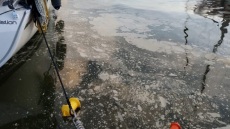 Θαλάσσια ρύπανση και έντονη δυσοσμία στο λιμάνι του Βόλου - Δείτε φωτογραφίες