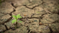Το πλουσιότερο 10% του παγκόσμιου πληθυσμού ευθύνεται για το μεγαλύτερο μέρος της υπερθέρμανσης του πλανήτη
