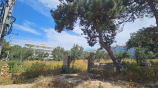 Τουρνάς: Να περιορίσουμε τις ενάρξεις πυρκαγιών και να μειώσουμε την καύσιμη ύλη - Από την Τρίτη ξεκινούν έλεγχοι για τα ακαθάριστα οικόπεδα