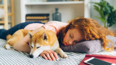 Το Νο1 μυστικό για καλύτερες επιδόσεις σε σχολικές και Πανελλήνιες εξετάσεις
