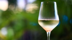 Το μοσχοφίλερο - Η παλιά ποικιλία της Αρκαδίας σε 20 κρασιά που ξεχωρίσαμε